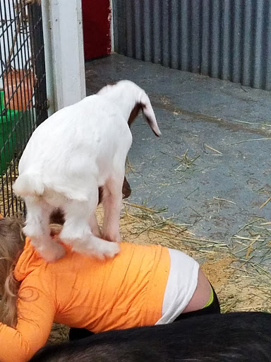 Zoo «Jozee Rooz Indoor Petting Zoo», reviews and photos, 120 138th St S, Tacoma, WA 98444, USA