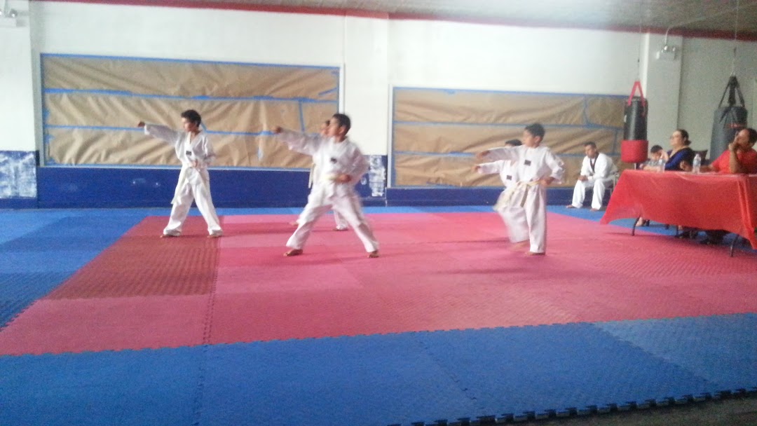 Fire Dragons TaeKwonDo