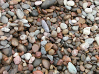 Sod Shop - Photo 5 - Car repair in Wichita, KS, Wichita