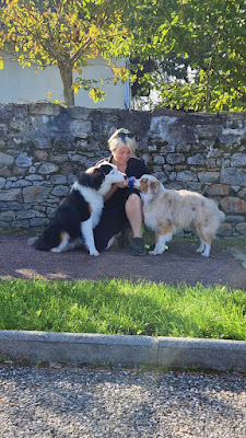 Evidence Dog | Educateur Canin | Promeneur de chien Haute-Savoie à Cranves-Sales