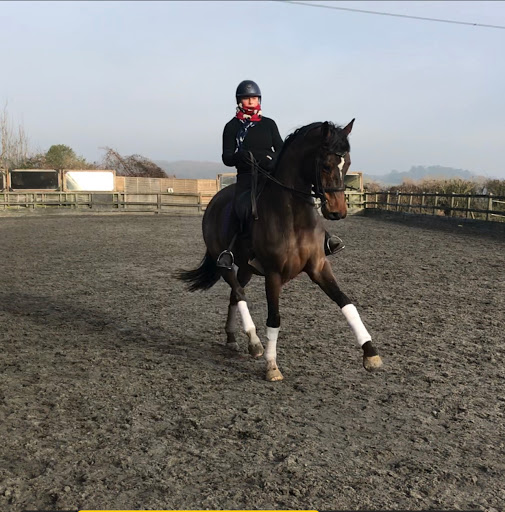Riding School,riding lessons and dressage school masters for all ‘with sarah Williams