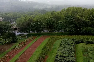 TAPMI Alumni Garden image