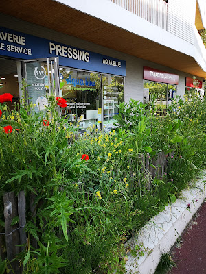 Pressing écologique Ecoquartier Rueil à Rueil-Malmaison
