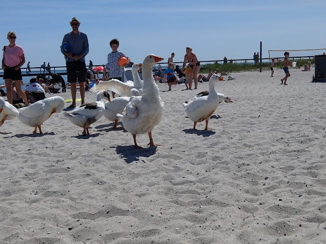 Mormorstranden - Restaurant