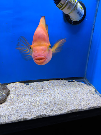 Aquarium «Aquatica», reviews and photos, 800 Clanton Rd H, Charlotte, NC 28117, USA