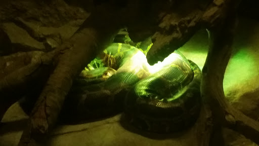 Gift Shop «Minnesota Zoo Gift Shop», reviews and photos, 13000 Zoo Blvd, Apple Valley, MN 55124, USA