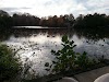 Wampum Park