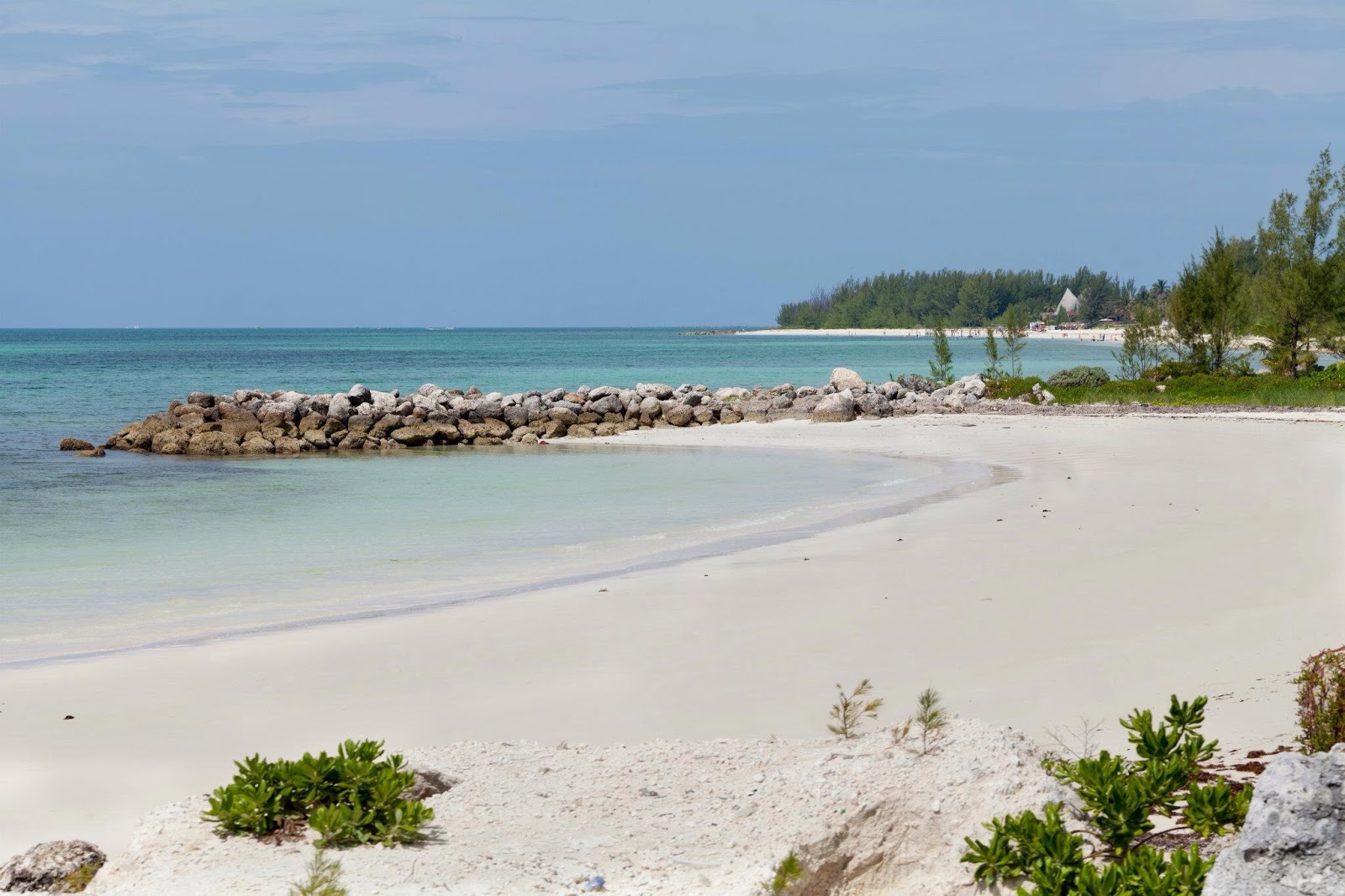 Fotografija Fortune beach z dolga ravna obala