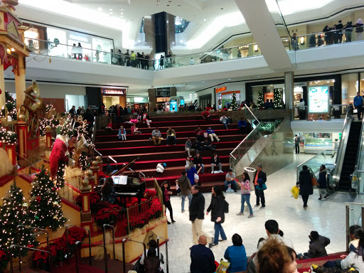 Shopping Mall «Stamford Town Center», reviews and photos, 100 Greyrock Pl, Stamford, CT 06901, USA
