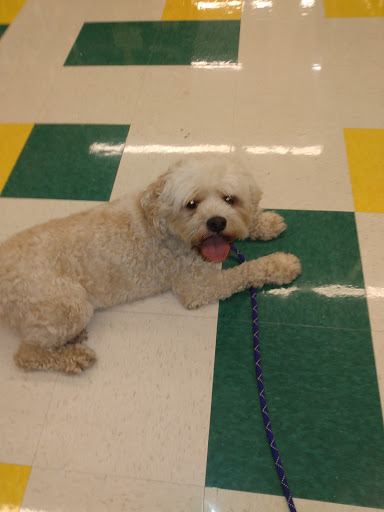 Pet Supply Store «Pet Supplies Plus», reviews and photos, 720 E Ogden Ave, Naperville, IL 60563, USA