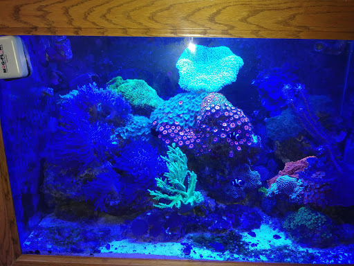 Tropical Fish Store «Best Fish», reviews and photos, 1335 N Doctor M.L.K. Dr, Milwaukee, WI 53212, USA