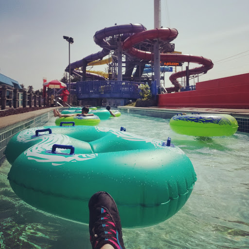Amusement Park «Wild Waves Theme & Water Park», reviews and photos, 36201 Enchanted Pkwy S, Federal Way, WA 98003, USA