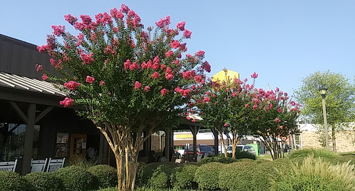 American Restaurant «Cracker Barrel Old Country Store», reviews and photos, 6251 Westport Ave, Shreveport, LA 71129, USA