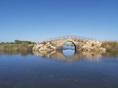 Ponte da Moita