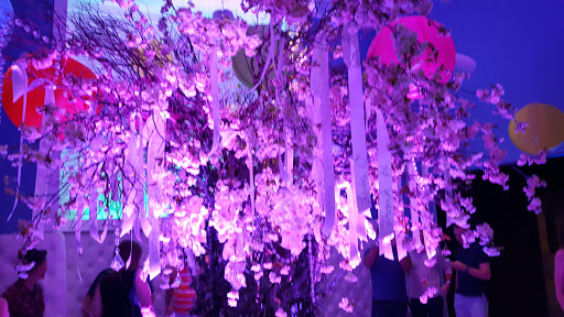 Gay Bar «Play Louisville», reviews and photos, 1101 E Washington St, Louisville, KY 40206, USA