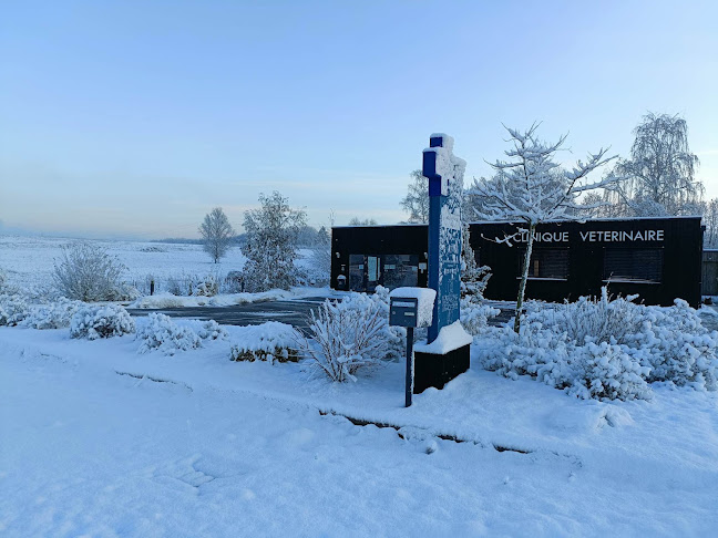 Opinii despre Clinique vétérinaire Gunder Vet în Strasbourg - Vétérinaire