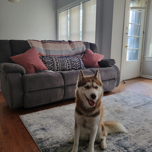 Furniture Store «Marjen Furniture of Chicago», reviews and photos, 1536 W Devon Ave, Chicago, IL 60660, USA