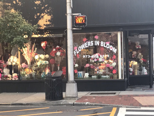 Florist «Flowers in Bloom», reviews and photos, 400 Harrison Ave, Harrison, NJ 07029, USA