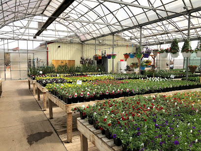 Kathy's Greenhouse