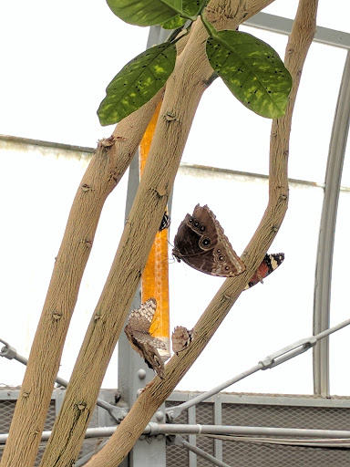 Park «Eden Park», reviews and photos, 950 Eden Park Dr, Cincinnati, OH 45202, USA