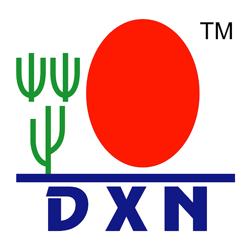 DXN Termékforgalmazó, üzletépítő - Kiskunmajsa