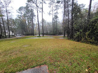 Fielder Tree Service - Photo 4 - Car repair in Tallahassee, FL, Tallahassee