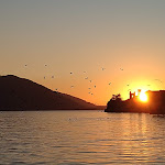 Photo n°10 de l'avis de Maurizio.o fait le 03/11/2020 à 03:34 sur le  Easy Bar à Predore