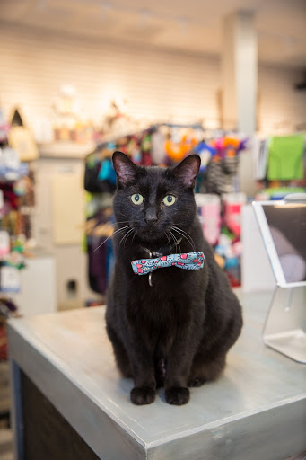 Gift Shop «Nautical Dog LLC», reviews and photos, 5104 Main St, Williamsburg, VA 23188, USA