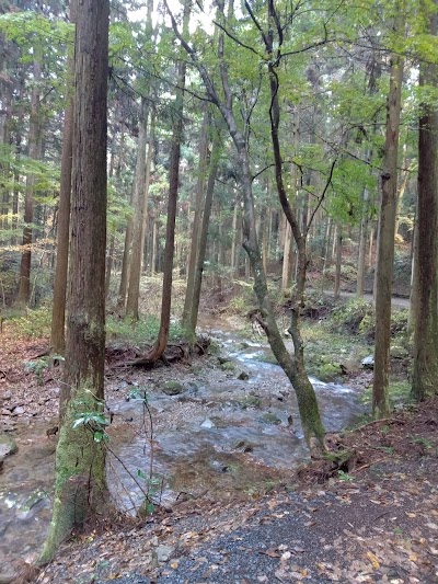 小津川 上流端
