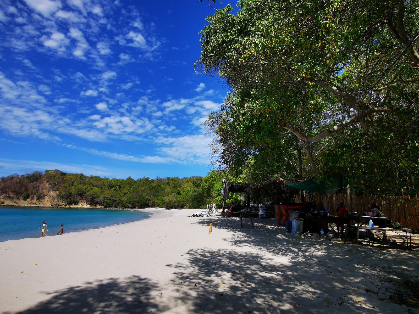 Anse La Roche Bay beach'in fotoğrafı imkanlar alanı