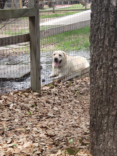Kennel «Sandy Oaks Kennel, Daycare and Spaw», reviews and photos, 146 Lamar Dr, Rockport, TX 78382, USA