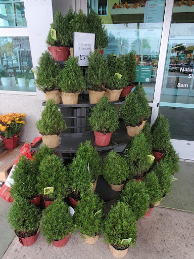 Grocery Store «Whole Foods Market», reviews and photos, 12150 Biscayne Blvd, North Miami, FL 33181, USA