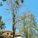 Photo n°1 de l'avis de Doris.i fait le 11/06/2022 à 20:42 sur le  Place Gois à Góis