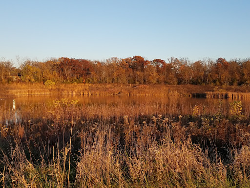 Nature Preserve «Meacham Forest Preserve», reviews and photos, Circle Ave, Bloomingdale, IL 60108, USA