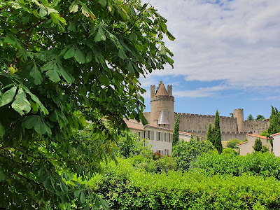 Mi casa es su casa - Conciergerie à Carcassonne