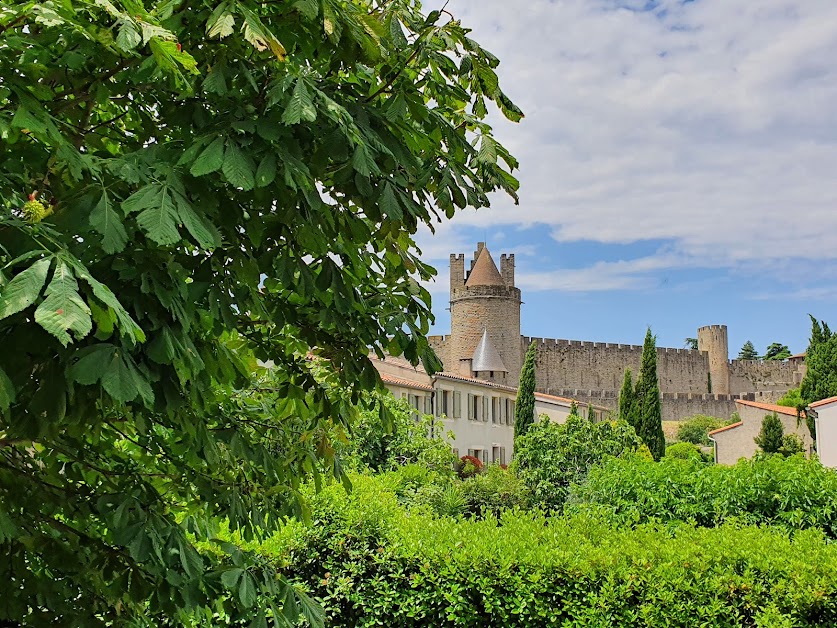 Mi casa es su casa - Conciergerie à Carcassonne (Aude 11)