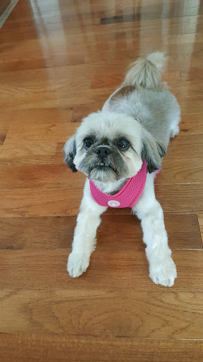 Pet Store «Cross Bronx Pet Shop», reviews and photos, 2064 Cross Bronx Expy, Bronx, NY 10472, USA