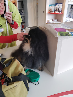 Veterinaires Le Bas et Rio à Cholet