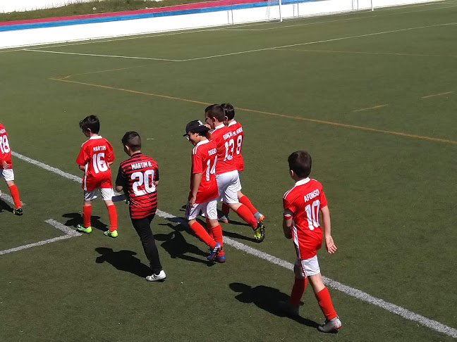 Avaliações doVitória Futebol Clube Mindense em Alcanena - Campo de futebol