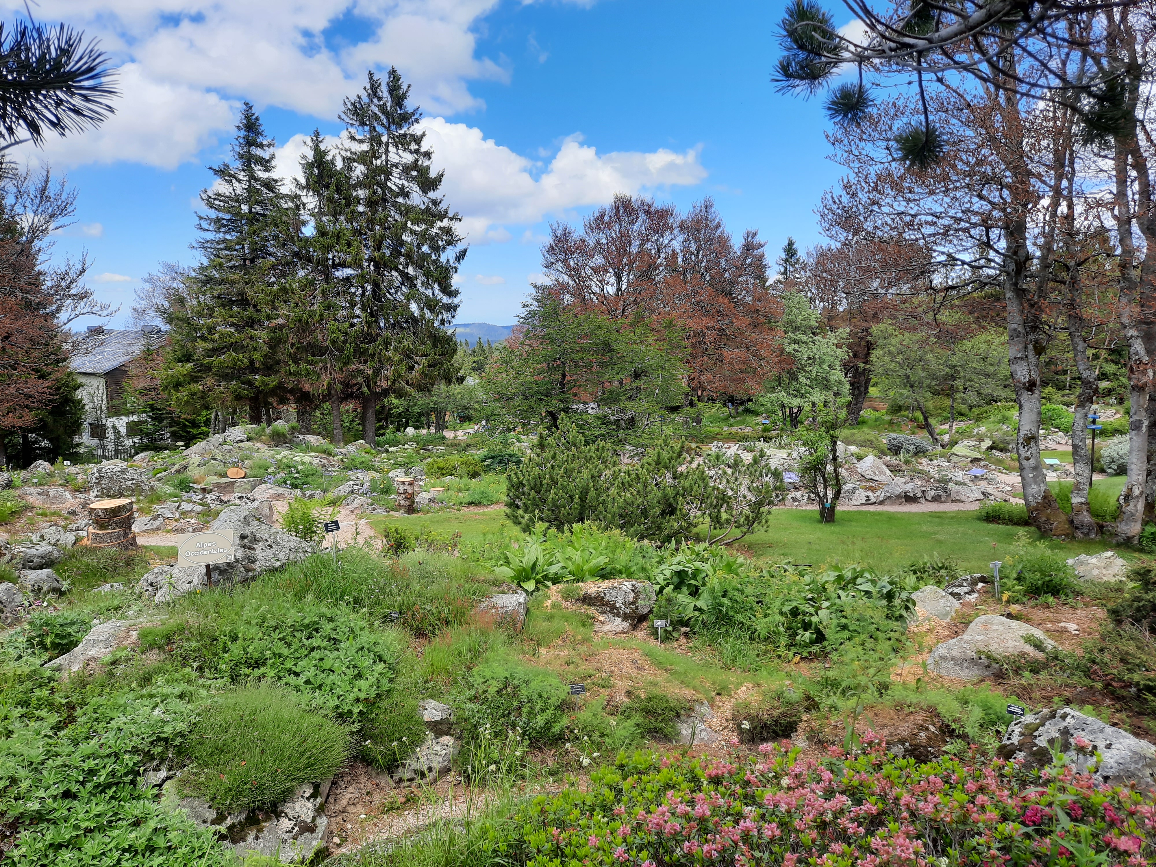 Photo n° 31 de l'avis de Victoria.e fait le 22/06/2020 à 21:37