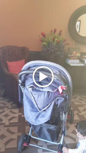 Dry Cleaner «Deluxe Cleaners», reviews and photos, 2255 Oak St, Jacksonville, FL 32204, USA