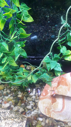 Pet Supply Store «Paws & Claws & Co», reviews and photos, 1801 E Market St, Warsaw, IN 46580, USA