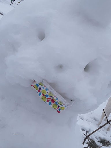 Park «Richard E Johns Park», reviews and photos, 2101 Central Rd, Glenview, IL 60025, USA