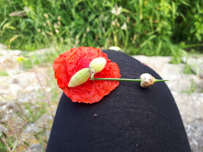 Biotif'l Beauté à Blois