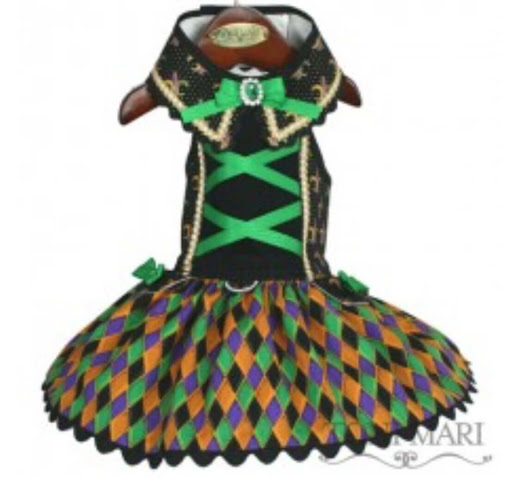 Pet Store «Heavenly Miracles Dog Boutique - Dog Supply Store», reviews and photos, 126 Tyler Rd S, Red Wing, MN 55066, USA