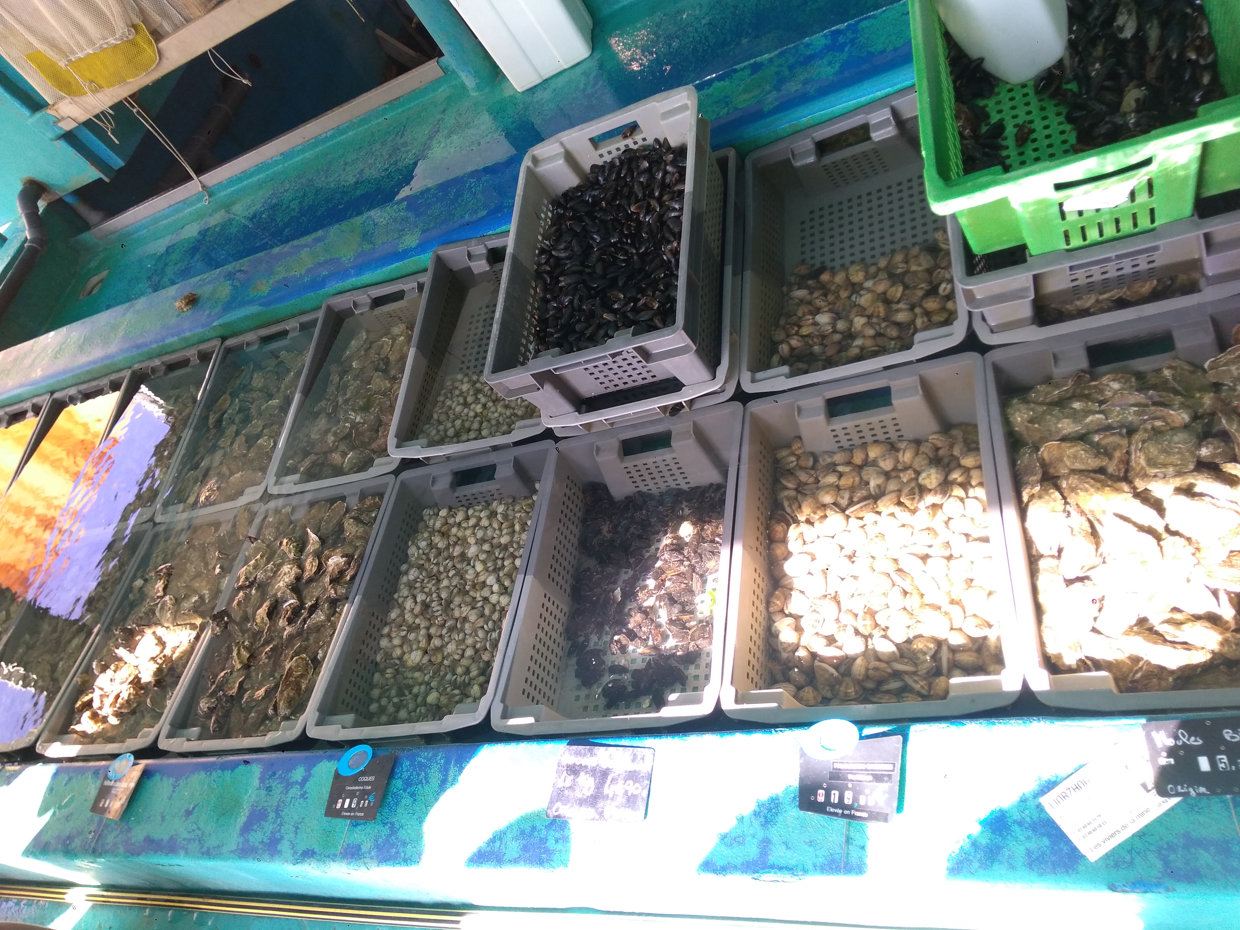 Photo n° 4 de l'avis de Laetitia.a fait le 31/08/2018 à 07:01