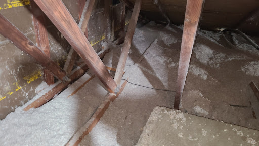 Pest Control Service «Universal Pest & Termite», reviews and photos