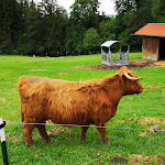 Photo n°1 de l'avis de oleobjekt. fait le 09/07/2019 à 05:50 sur le  Zum Fürst'n à Eppenschlag