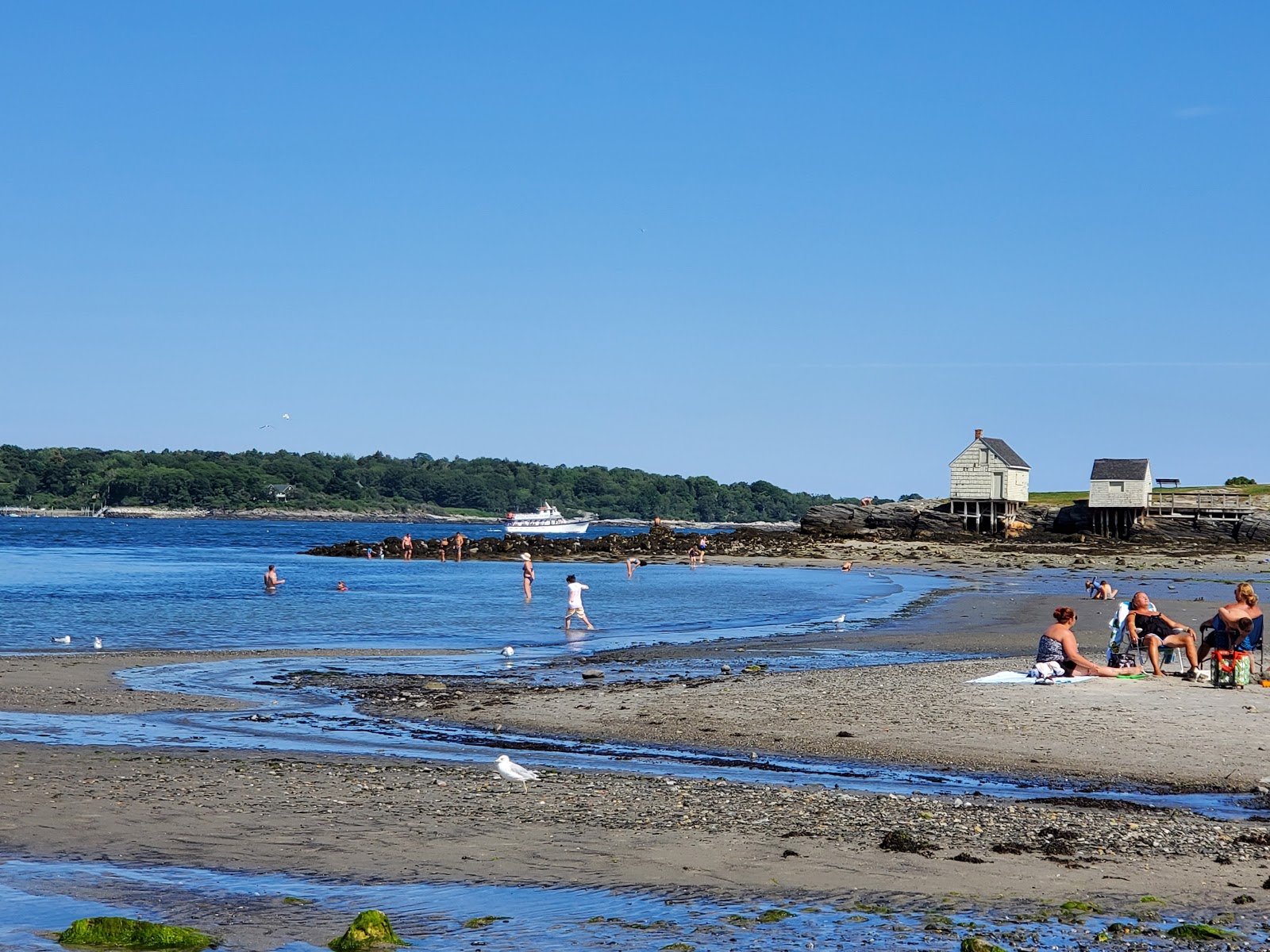 Fotografie cu Willard beach - locul popular printre cunoscătorii de relaxare