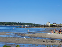Fotografie cu Willard beach - locul popular printre cunoscătorii de relaxare